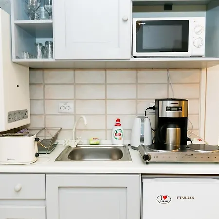 Apartment Tischler & Studio *