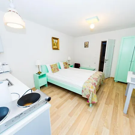 Apartment Tischler & Studio Sibiu