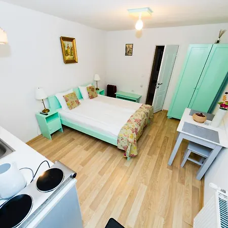 Apartment Tischler & Studio Sibiu