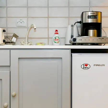 Tischler & Studio Apartment Sibiu