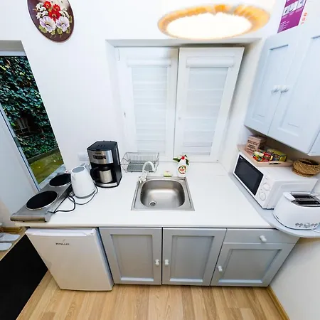 Tischler & Studio Apartment Sibiu